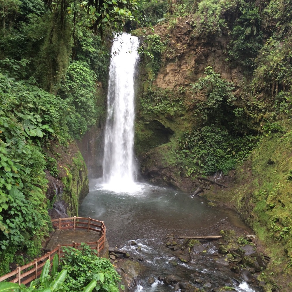 Meet your Posher, Suzanne